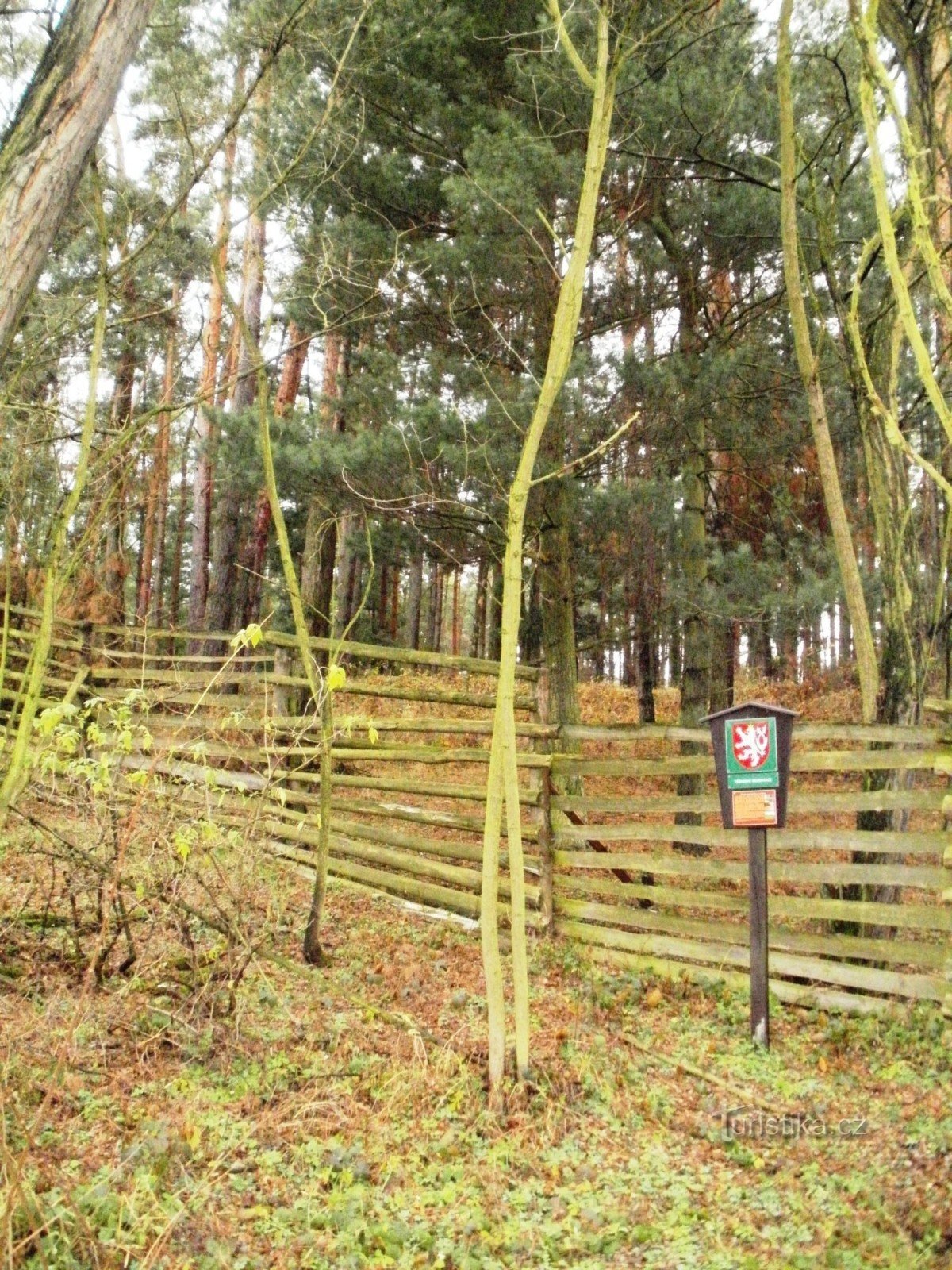 Wydmy w pobliżu Svárav