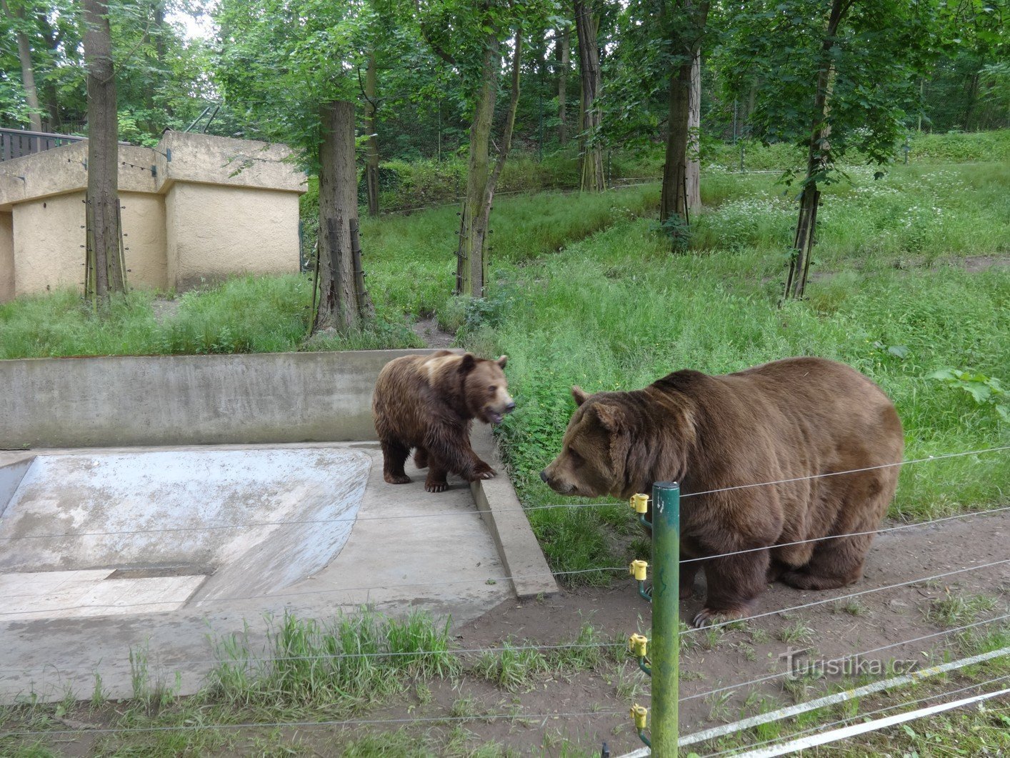 Dvacetiletí Vojta s Kubou, ale už bez Matěje na Městské hoře v Berouně