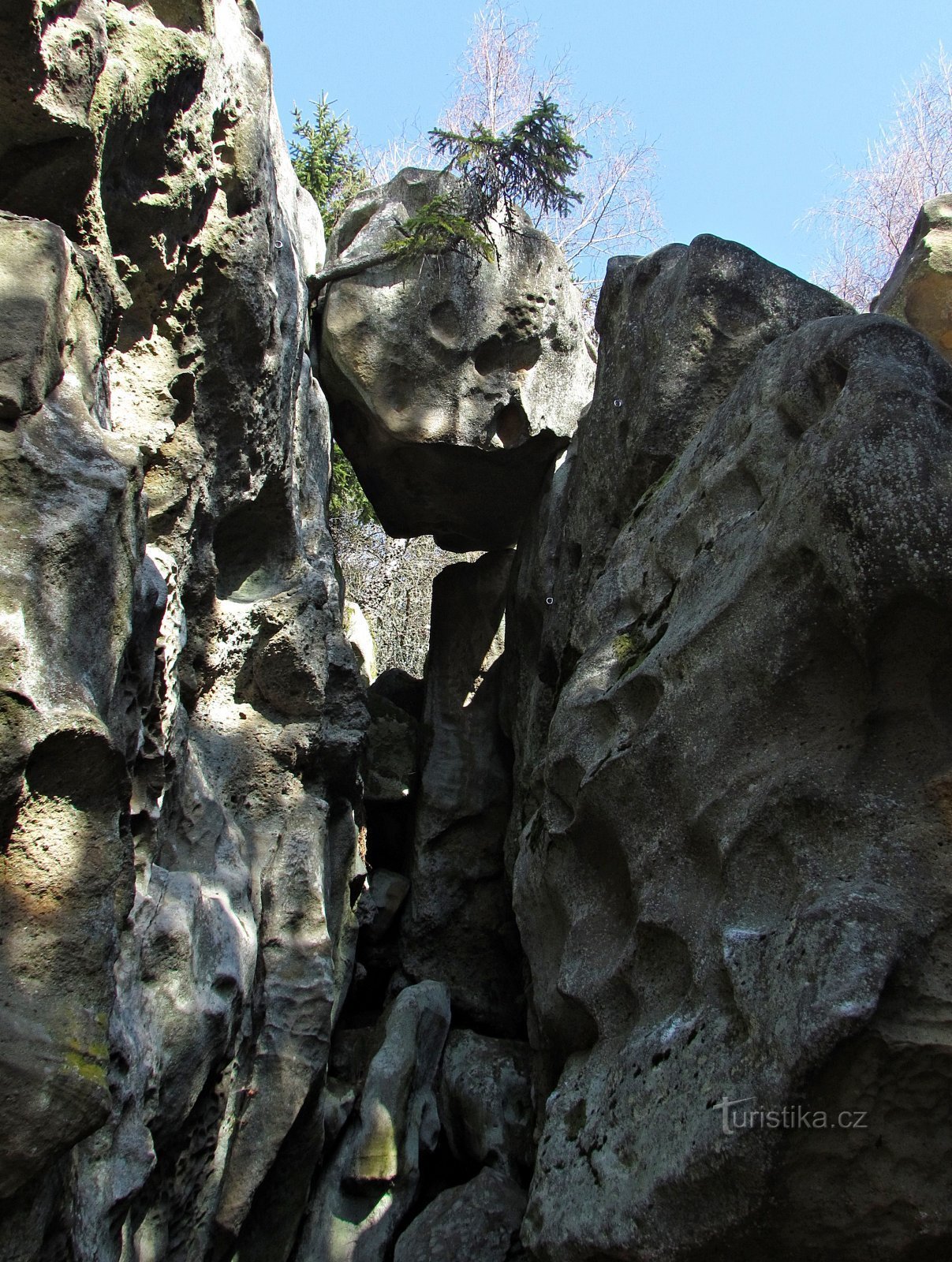 Lačnovské岩の二重の希少性