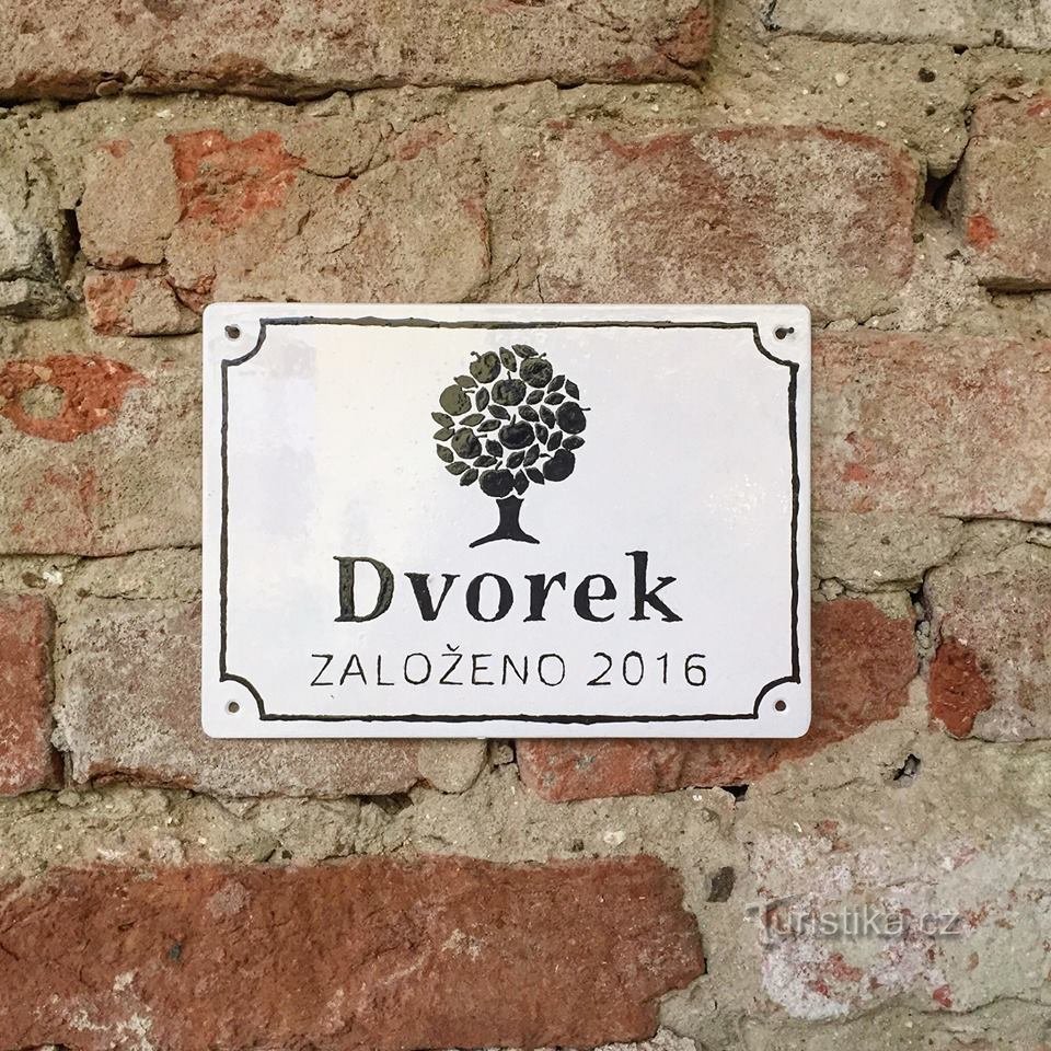 Dvorišče: kavarna, vino, bistro