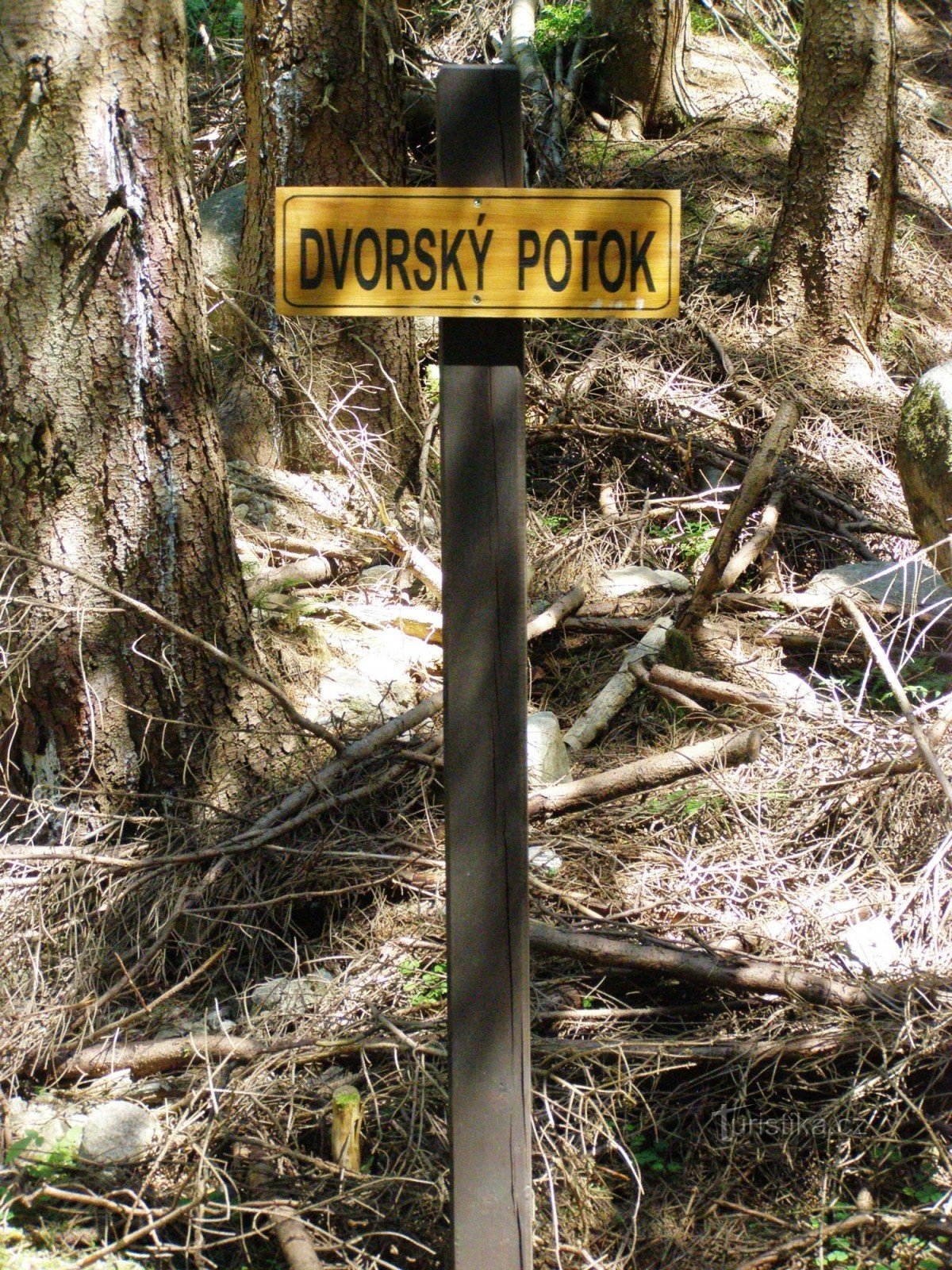 Dvorský potok