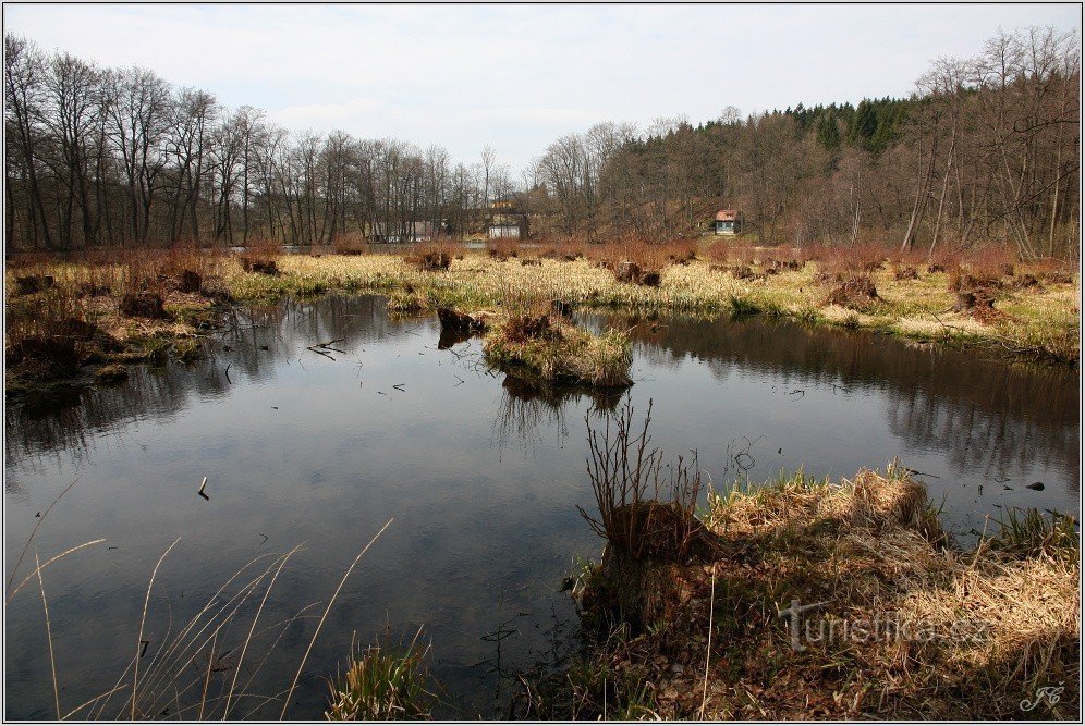 Dymlovský pond