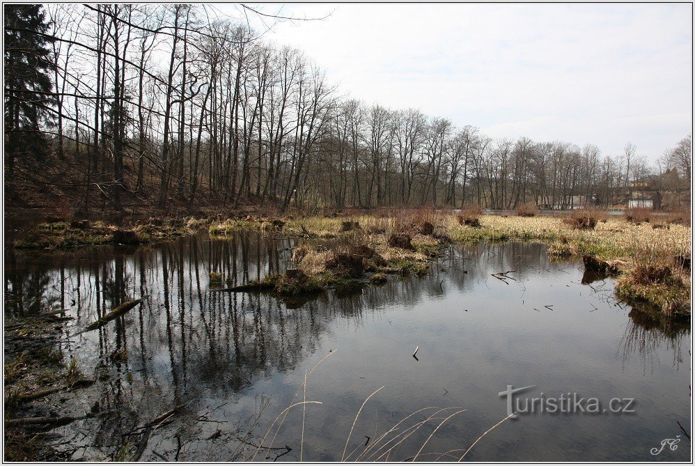 Dymlovský pond