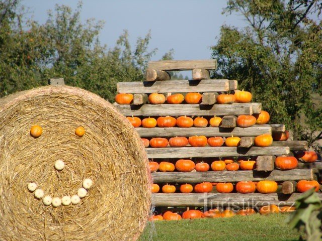 Dyniowy Świat w Nowej Wsi koło Leštiny