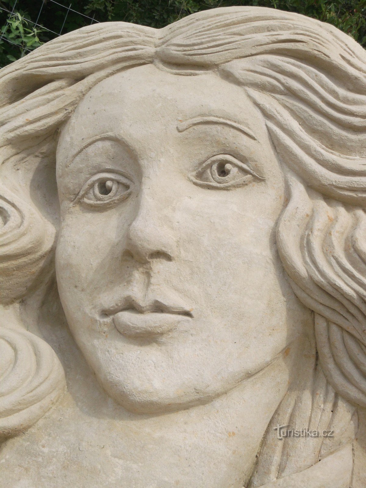 edetail of the face - great