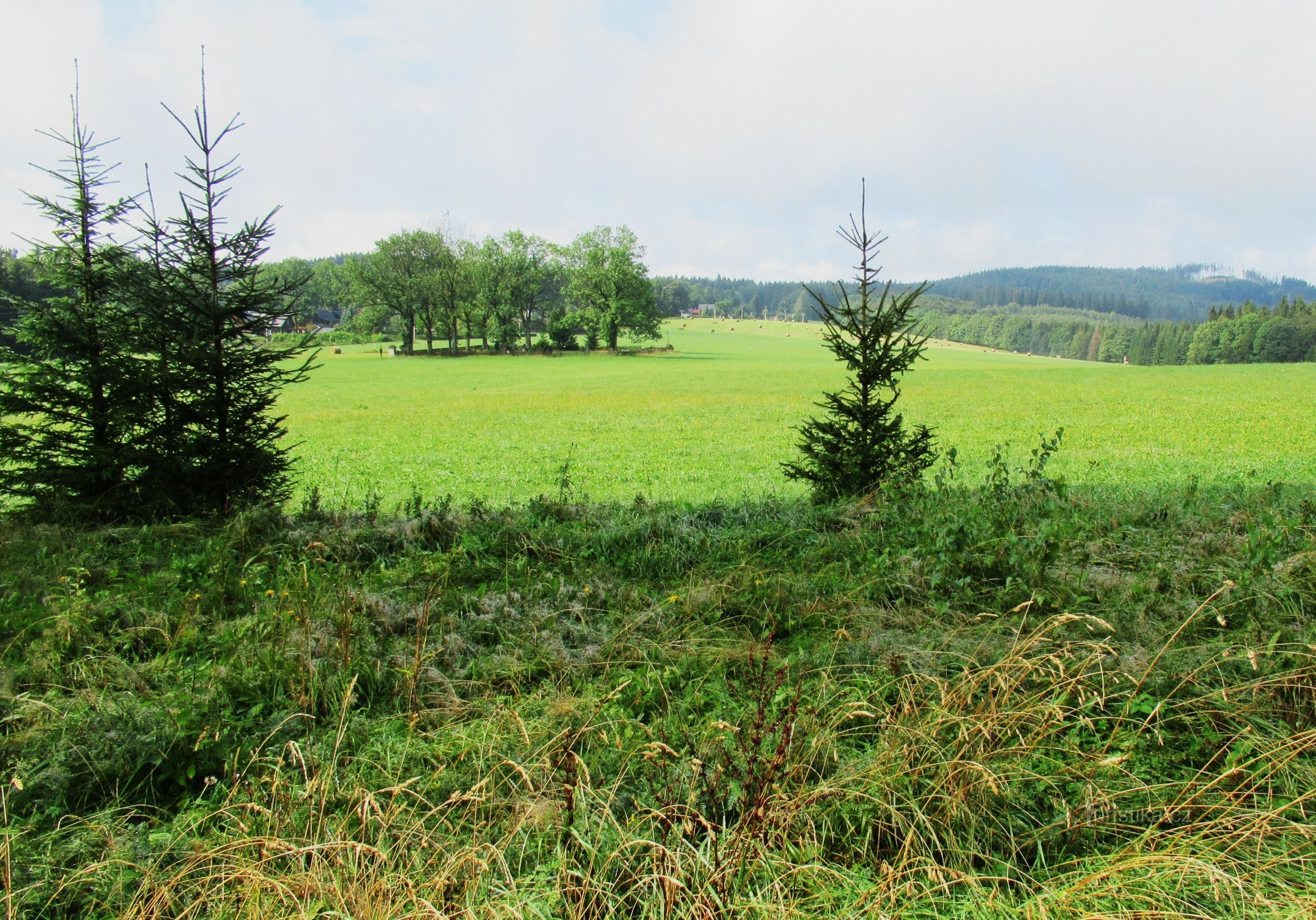 Ecofarm ja majoitus Orlí vrch Rejvízin kylässä