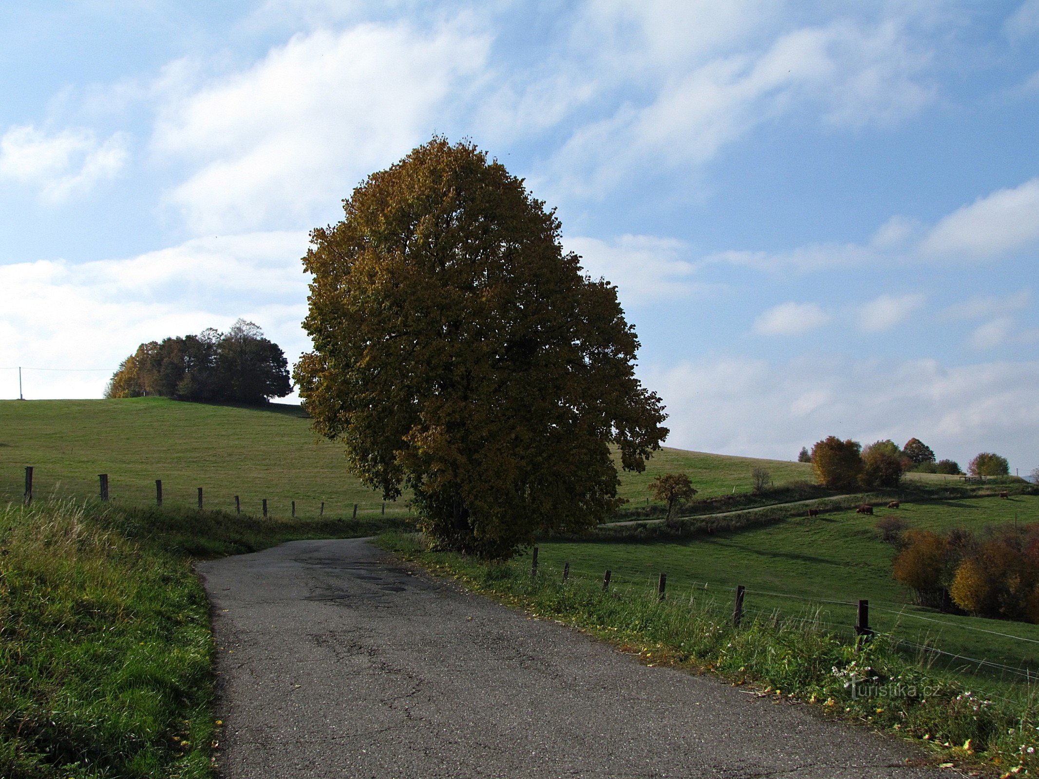 Ecofarm Lípa u blizini Zlína