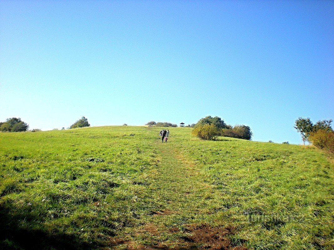 Mirador de Erben