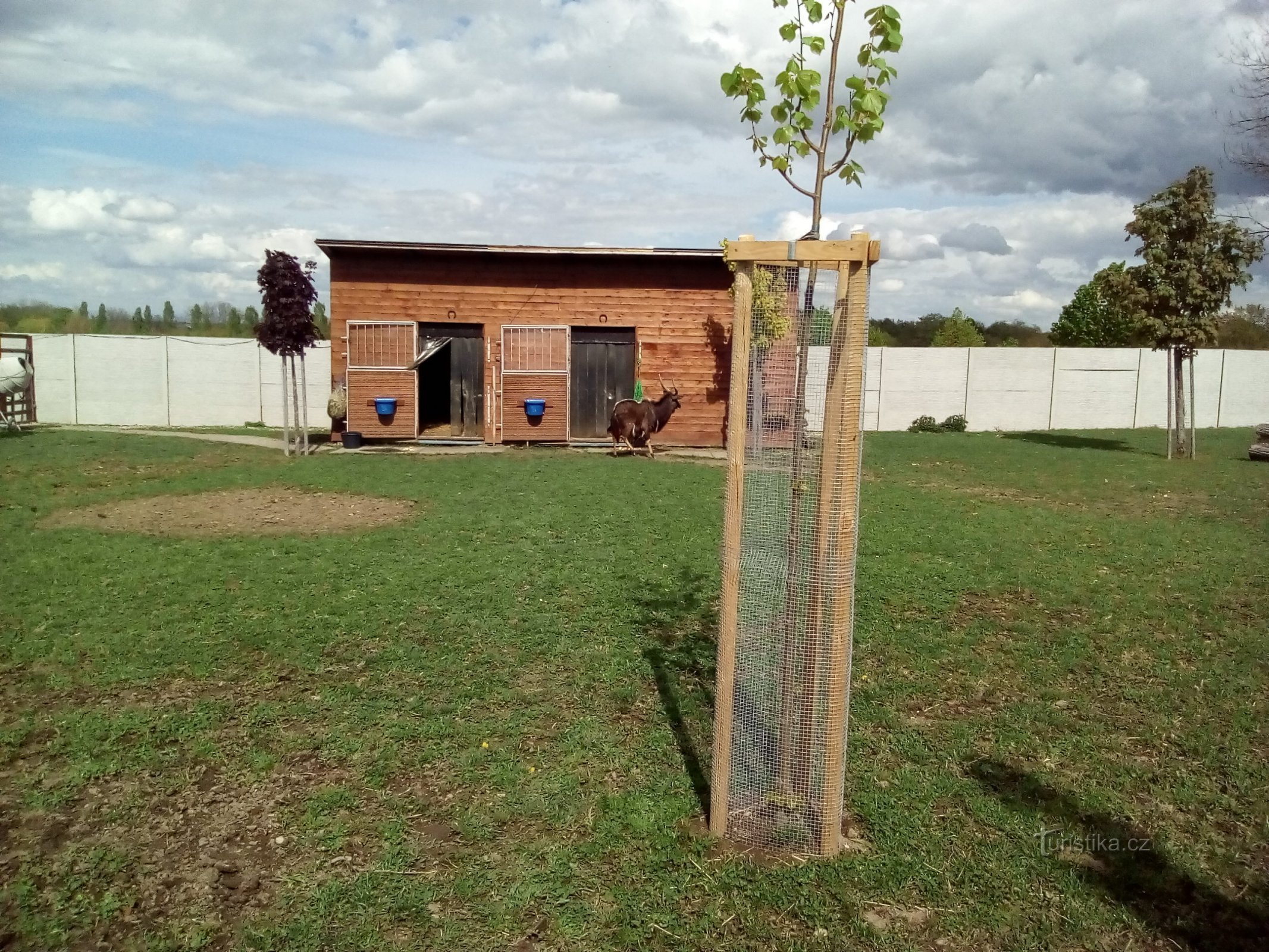 Exotics on the ranch in Bítovany