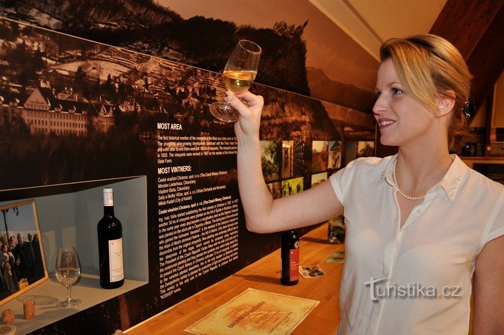 L'exposition Cesta za vínem au château de Litoměřice propose désormais des dégustations de vin