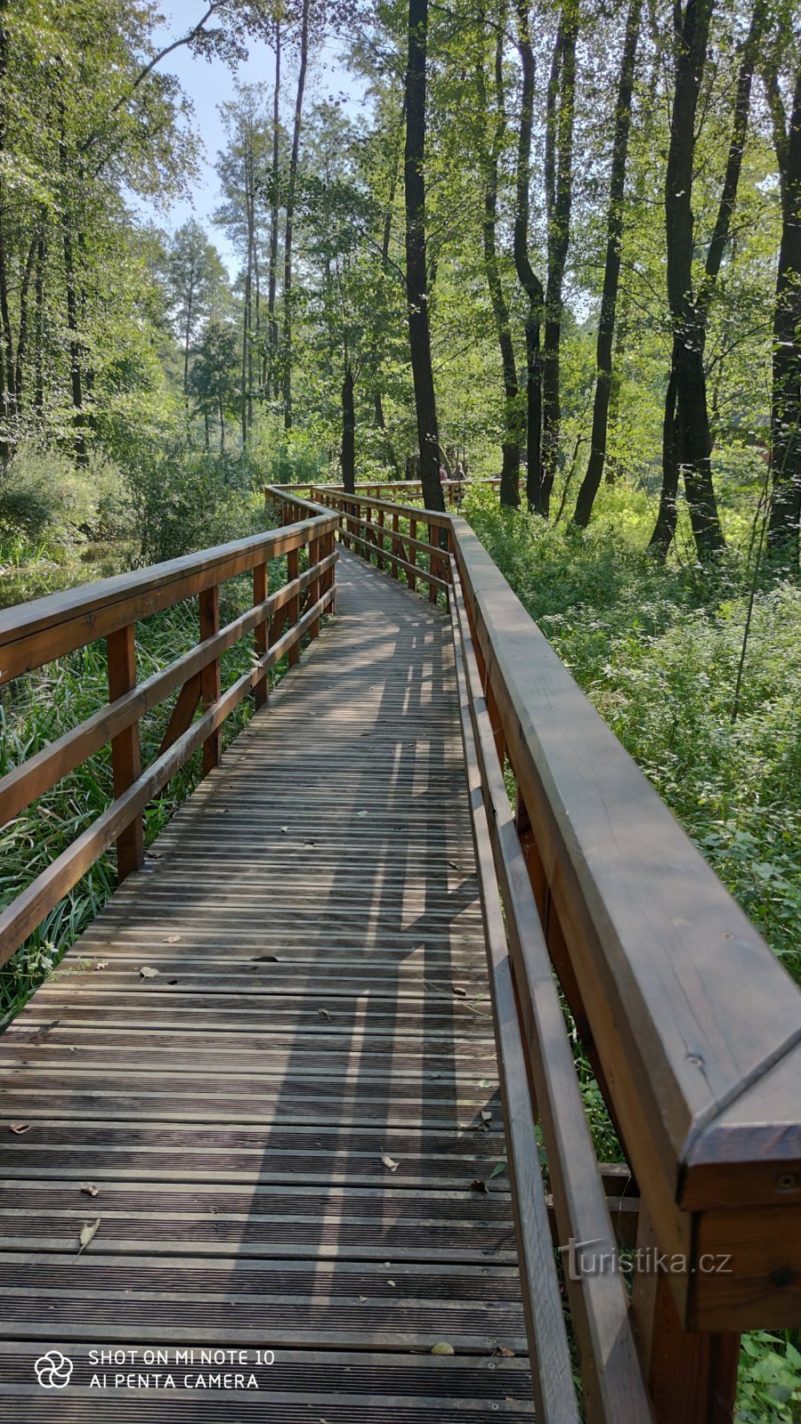 Exposition of wetlands in the Ostrava Zoo