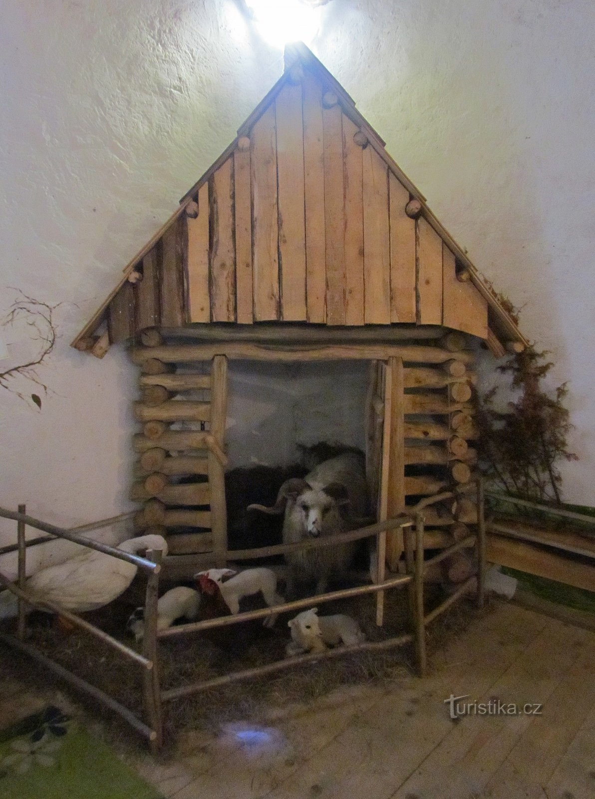 Exposition über die Natur im Turm