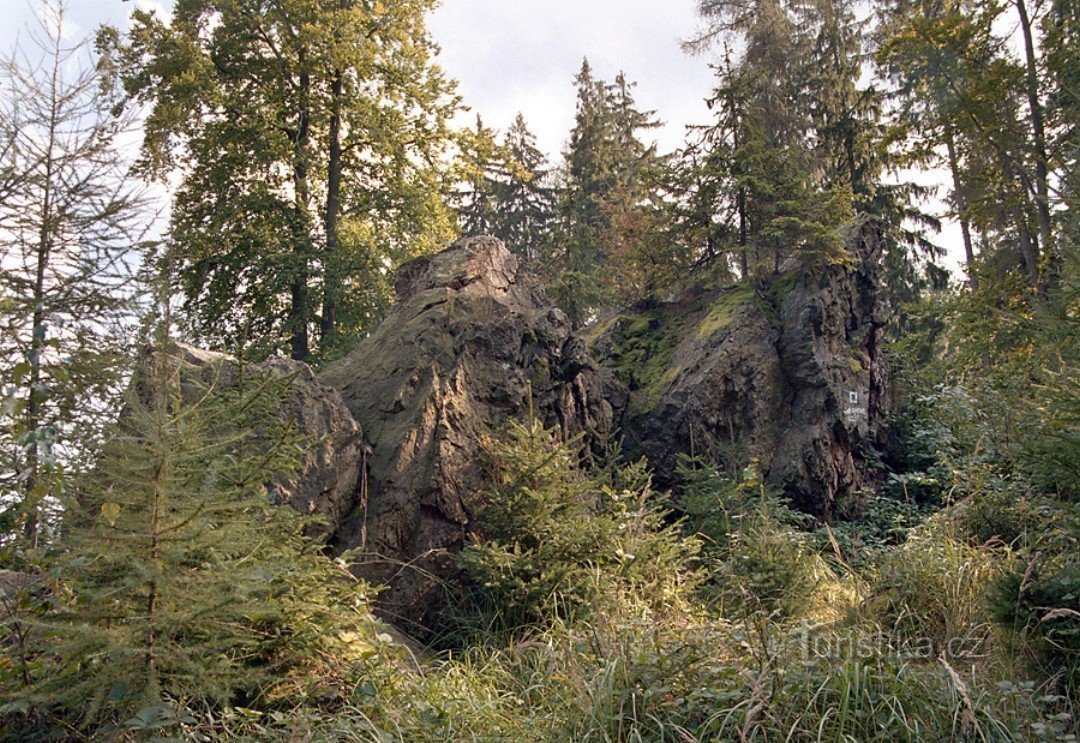 Fabián's bed on Velká Baba (614m)