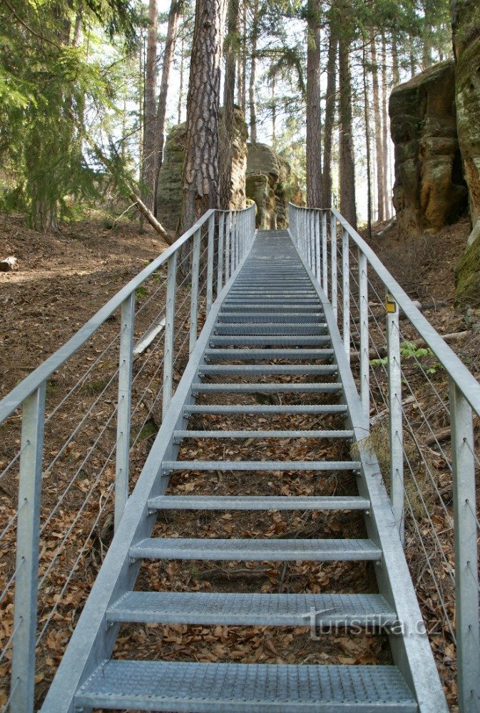 Falkenštejn – Maries klippe – Vilemíns mur – Rudolfs sten (Jetřichovice)