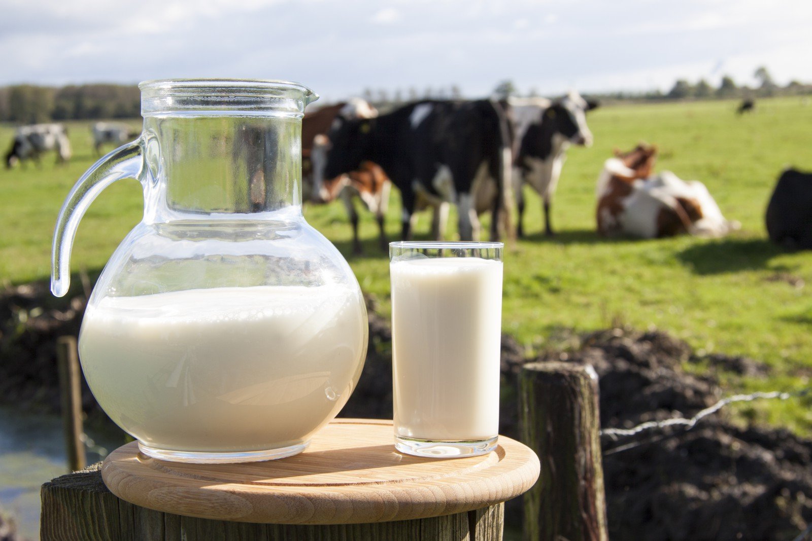 Farma Alois Mejsnar - výroba mléčných výrobků