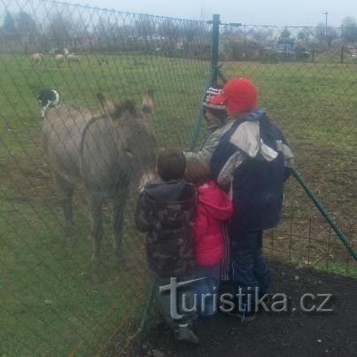 Trang trại Jižanský dvorek trên kè Dufková ở Brno