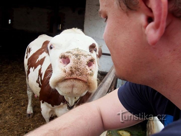 Slavětin boerderij