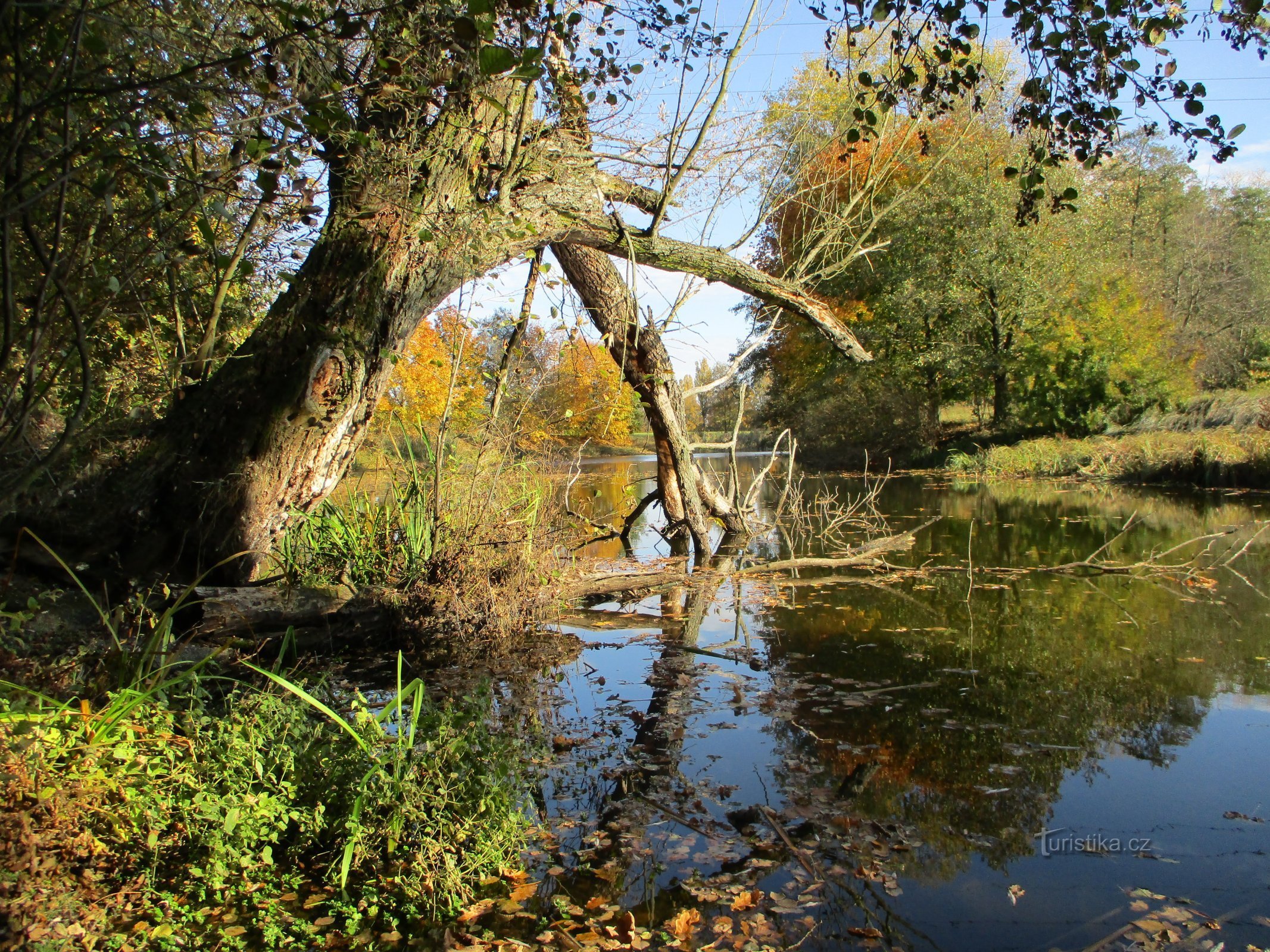 Parské jezero (Hradec Králové, 18.10.2019. Mai XNUMX)