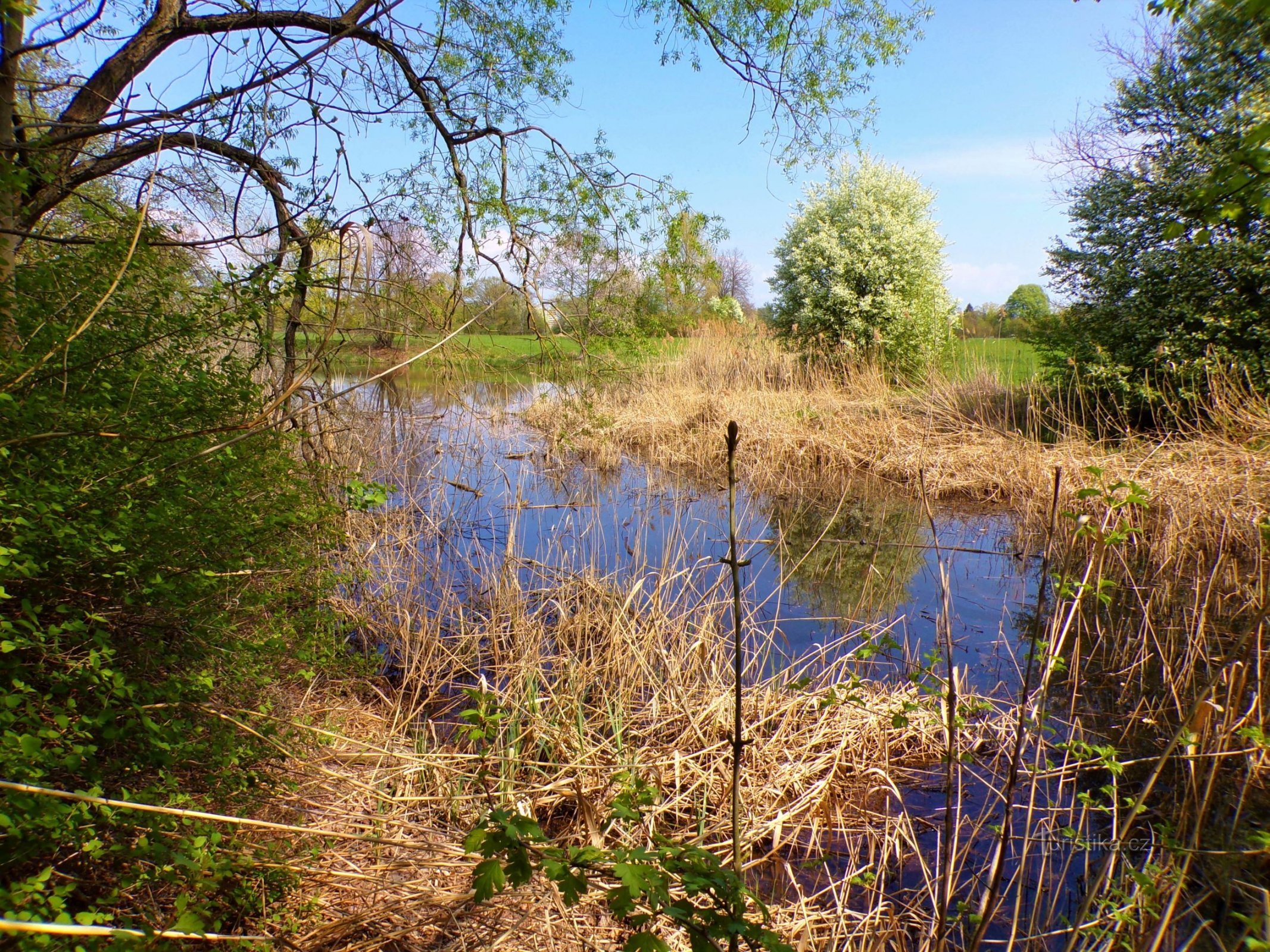 Farské jezero (Hradec Králové, 2.5.2022)