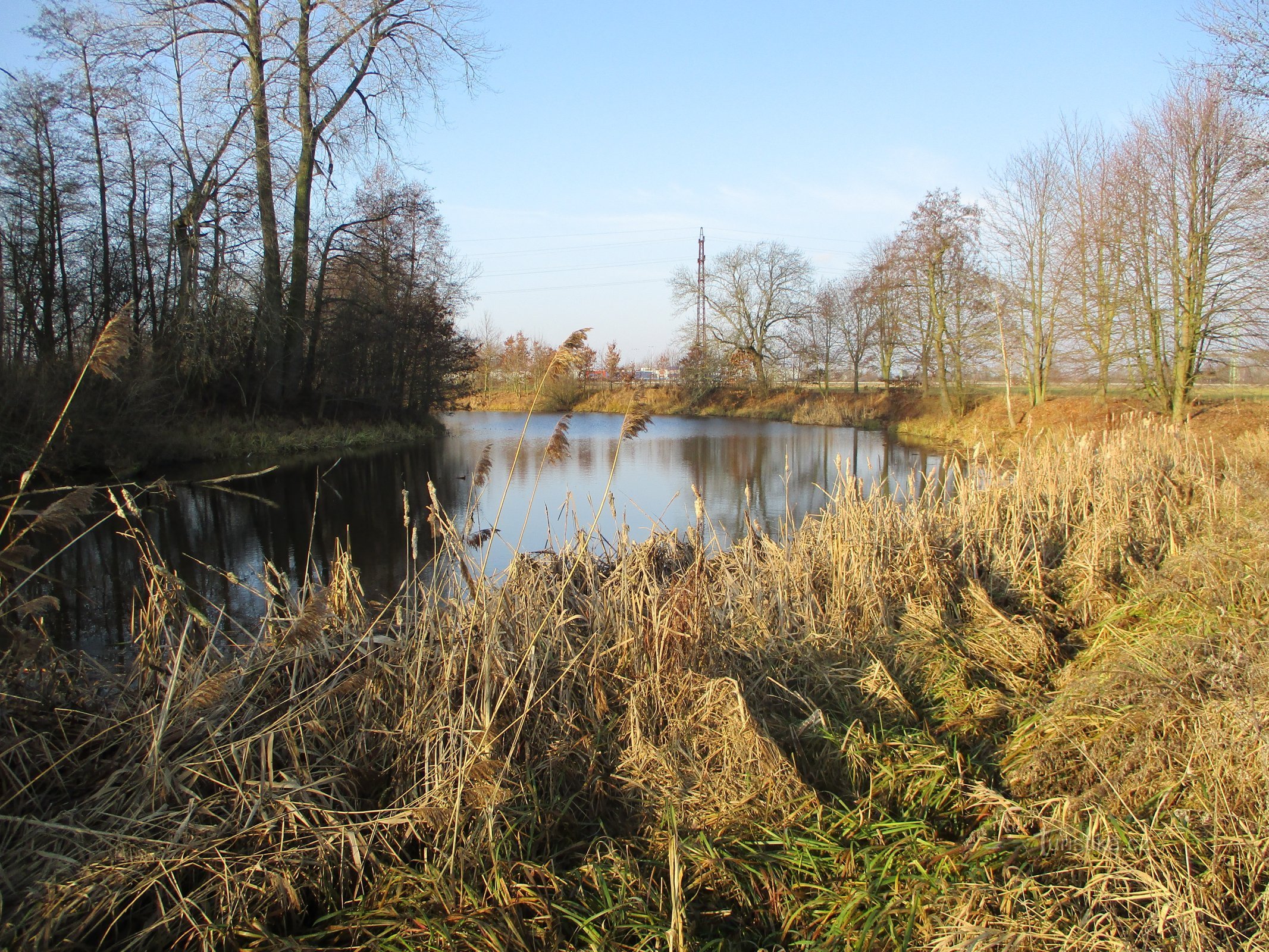 Parské jezero (Hradec Králové, 20.12.2019 mei XNUMX)