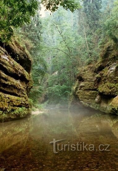 Ferdinand gorge: after the rain