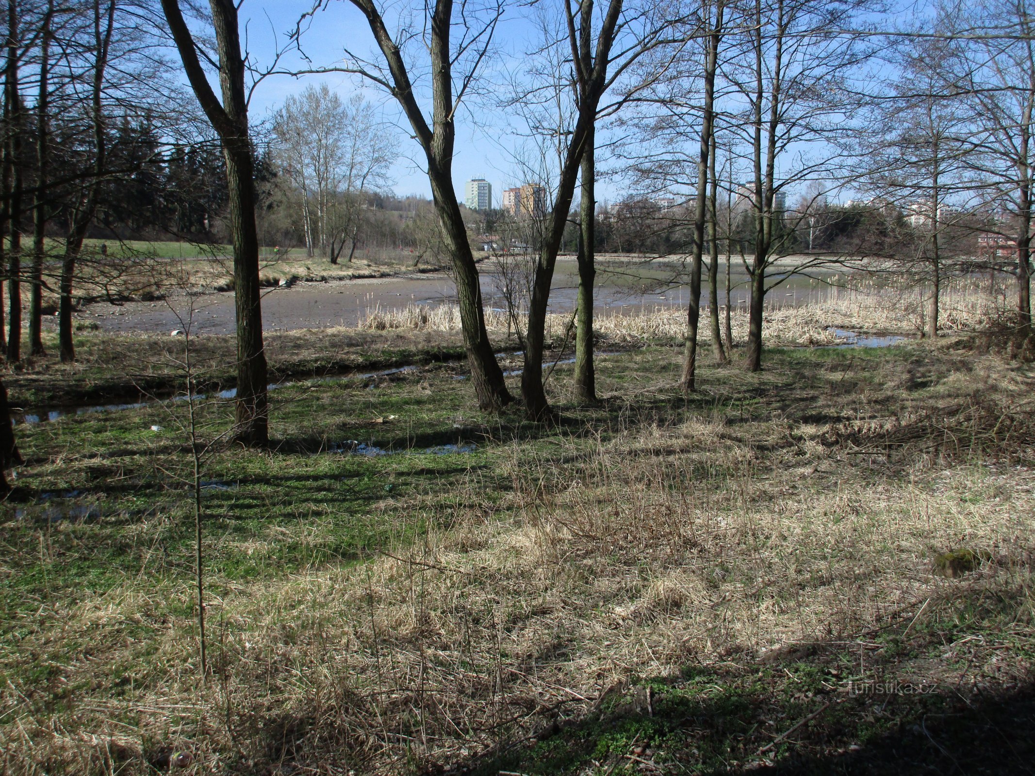 Violet Pond