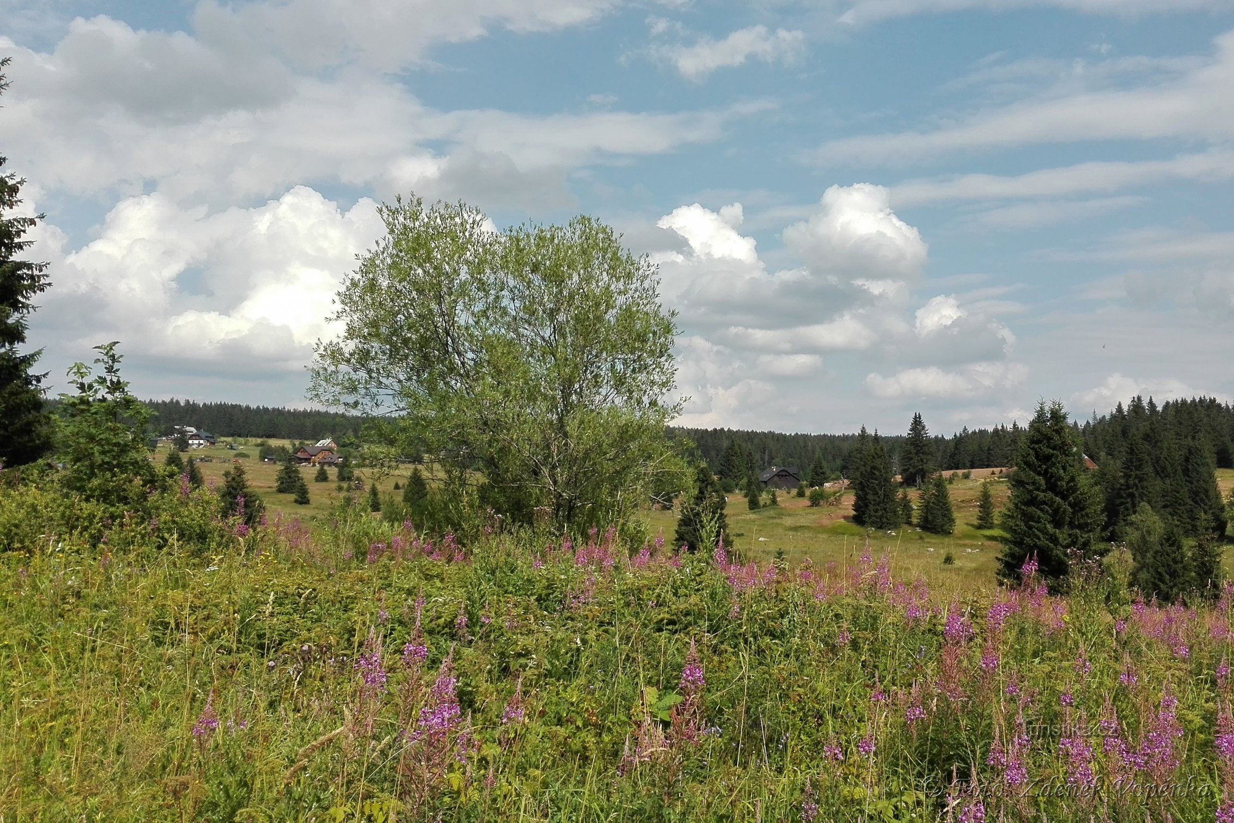 Филипова Хуть.