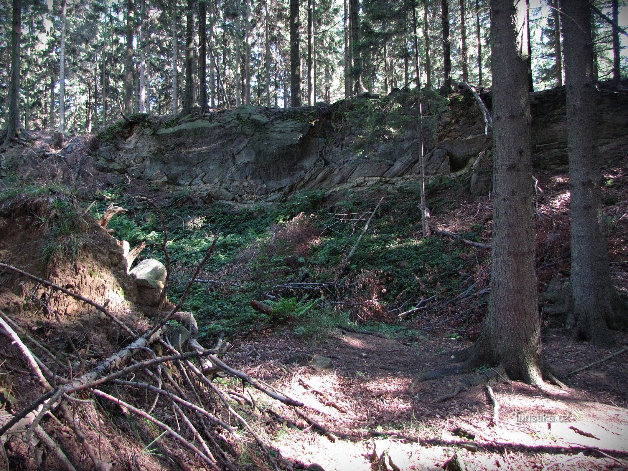 Flysch-Aufschluss unterhalb von Klášťov