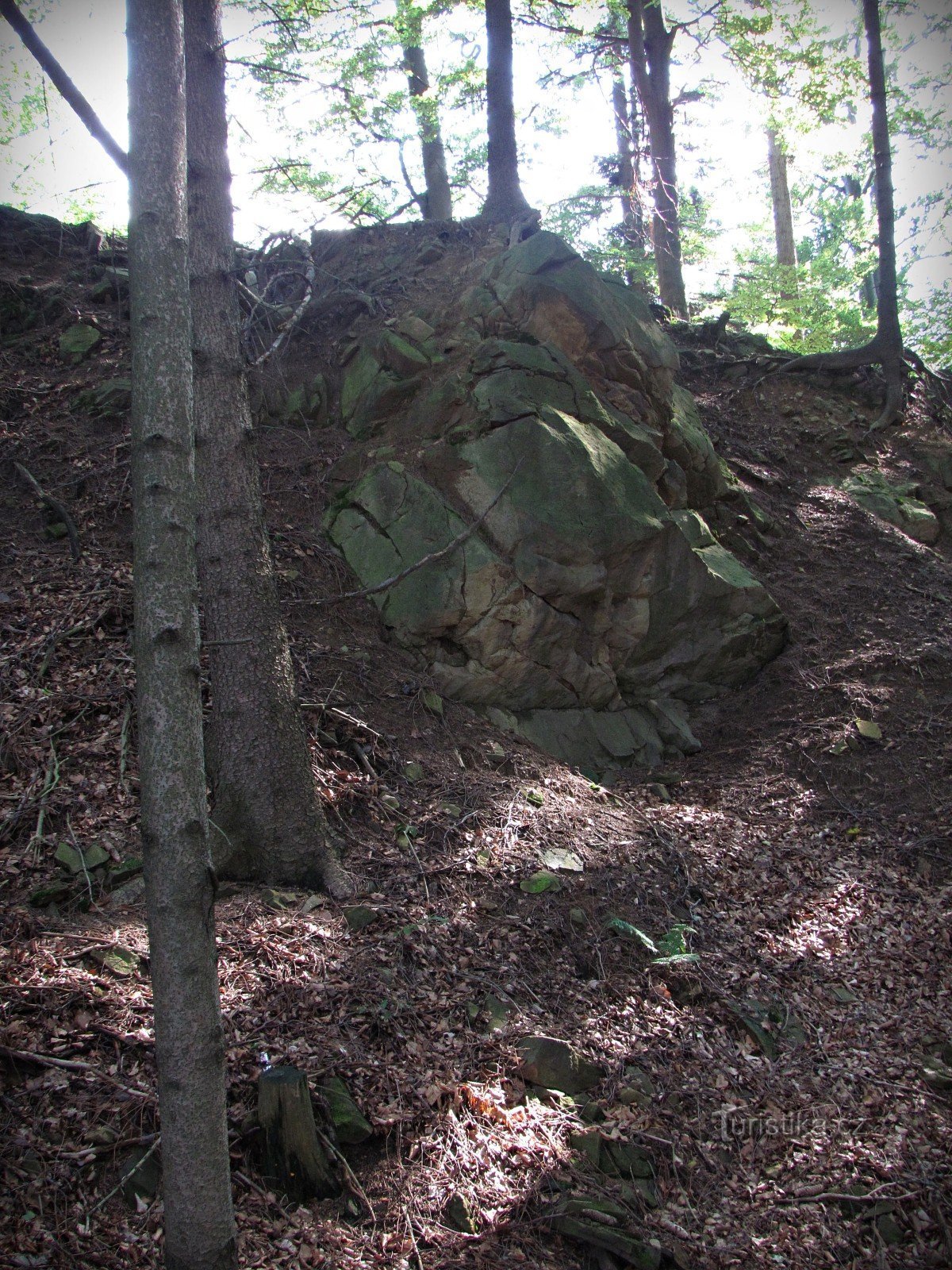 Affleurement de flysch sous Klášťov