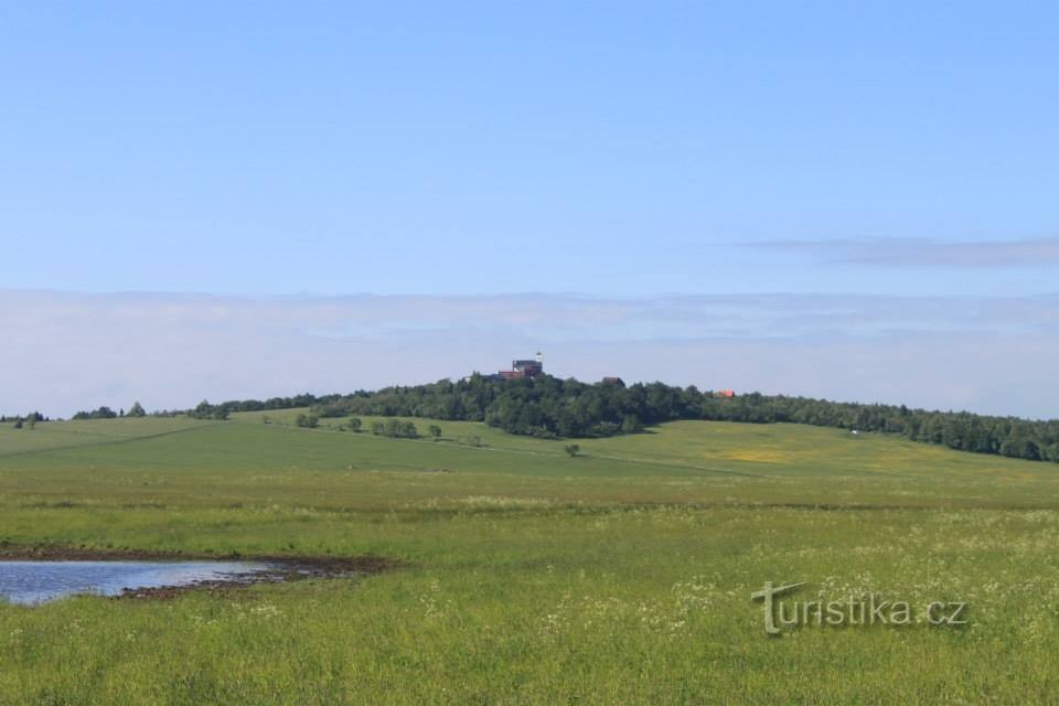 Fojtovice vlakte