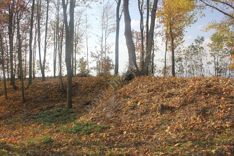 fort XVIII