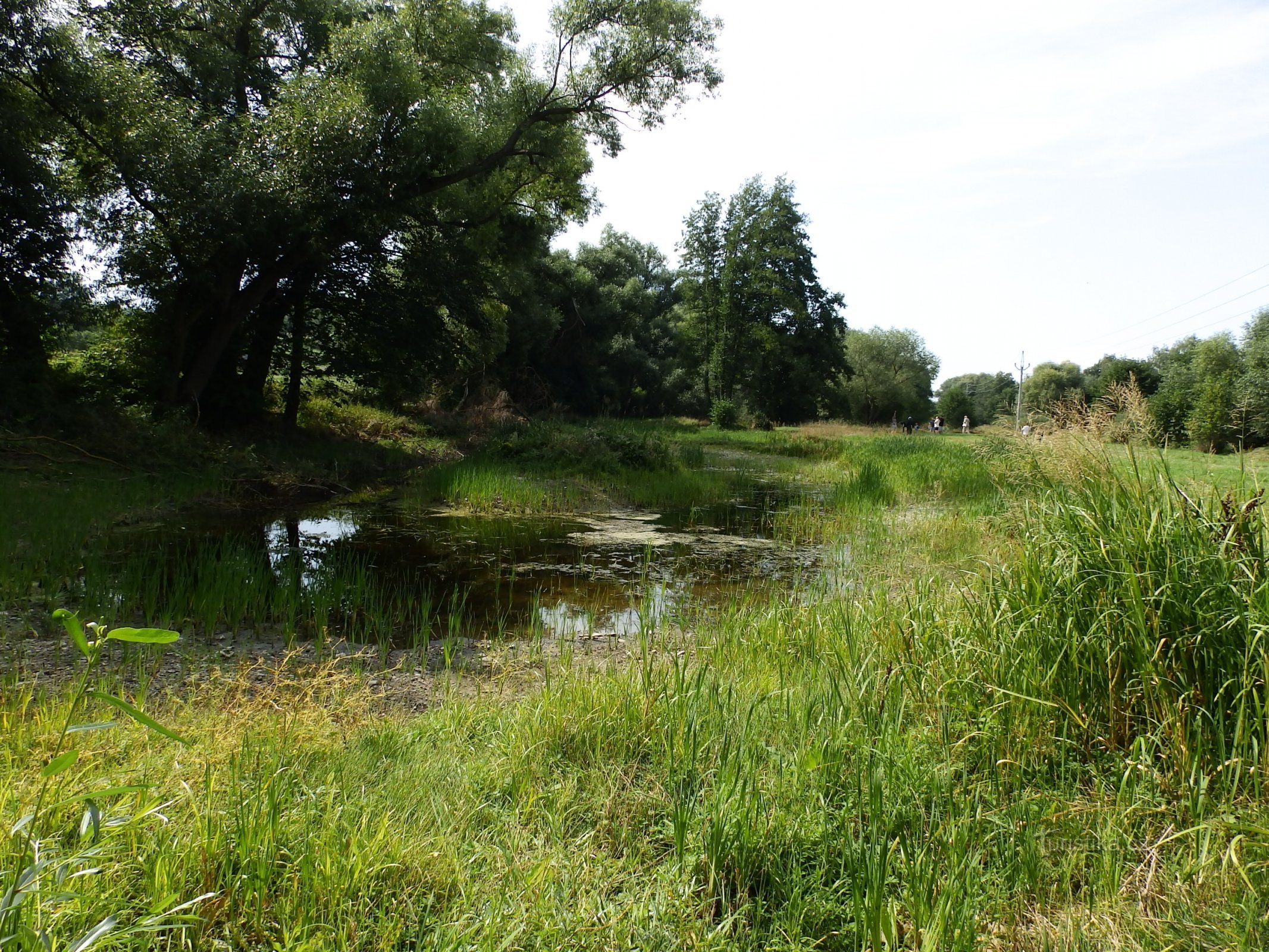 Photo (c) Czech Union of Nature Conservators