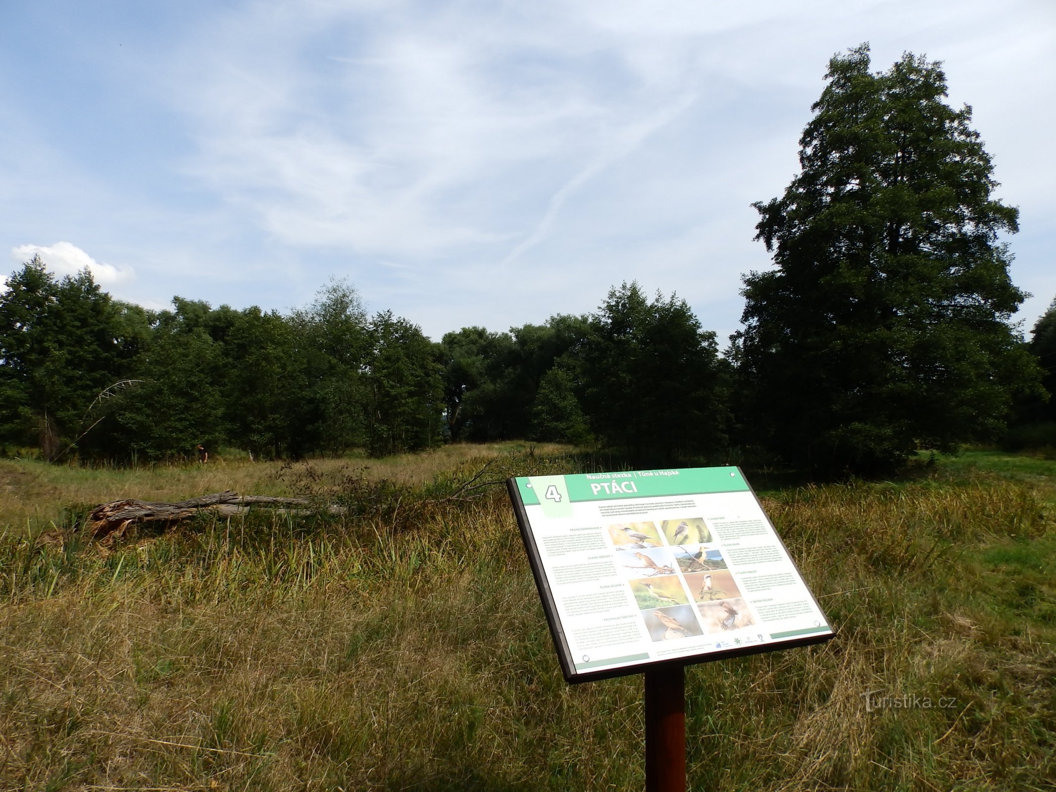 Foto (c) Uniunea Cehă a Conservatorilor Naturii