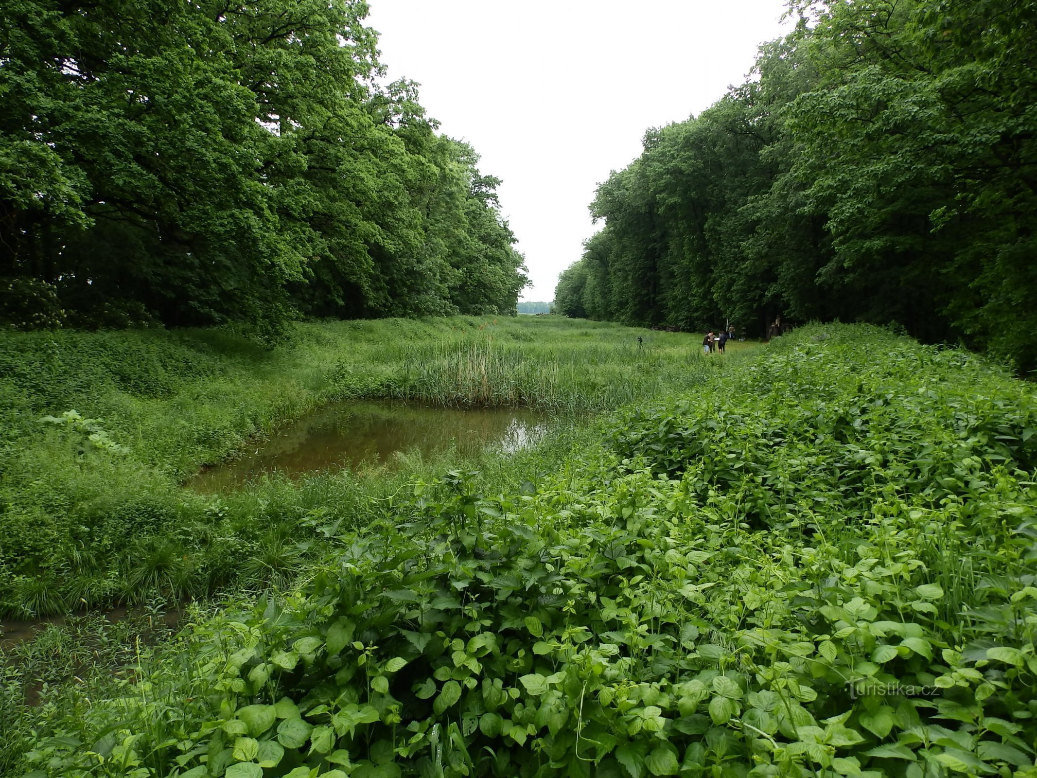 Foto (c) Unione ceca dei conservatori della natura