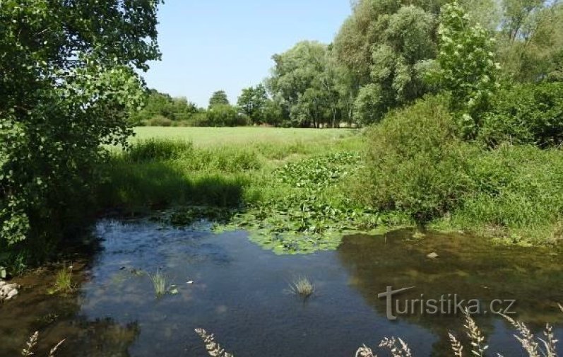 Foto (c) Unione ceca dei conservatori della natura