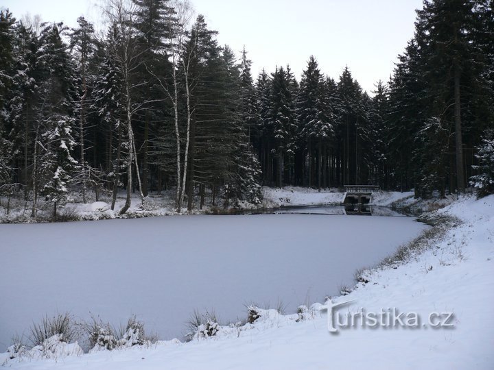 Kuva (c) Tšekin luonnonsuojeluliitto