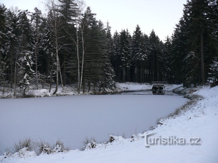 Foto (c) Uniunea Cehă a Conservatorilor Naturii