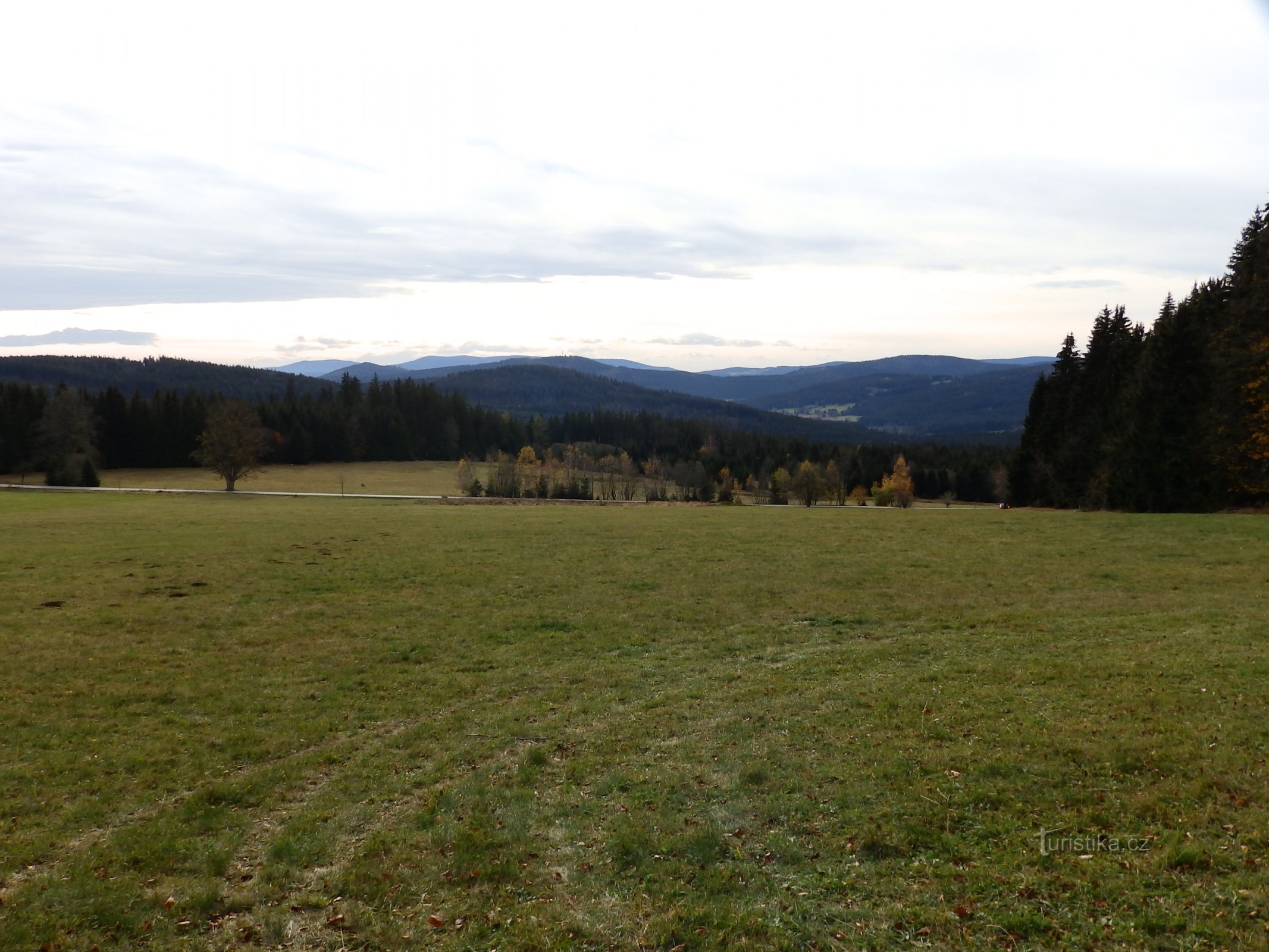 Foto: Češka udruga zaštitnika prirode