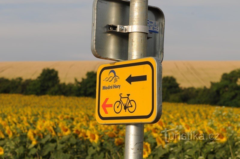 Foto: Modré Hory - piste ciclabili Němčičky; archivio www.mezivinohrady.cz