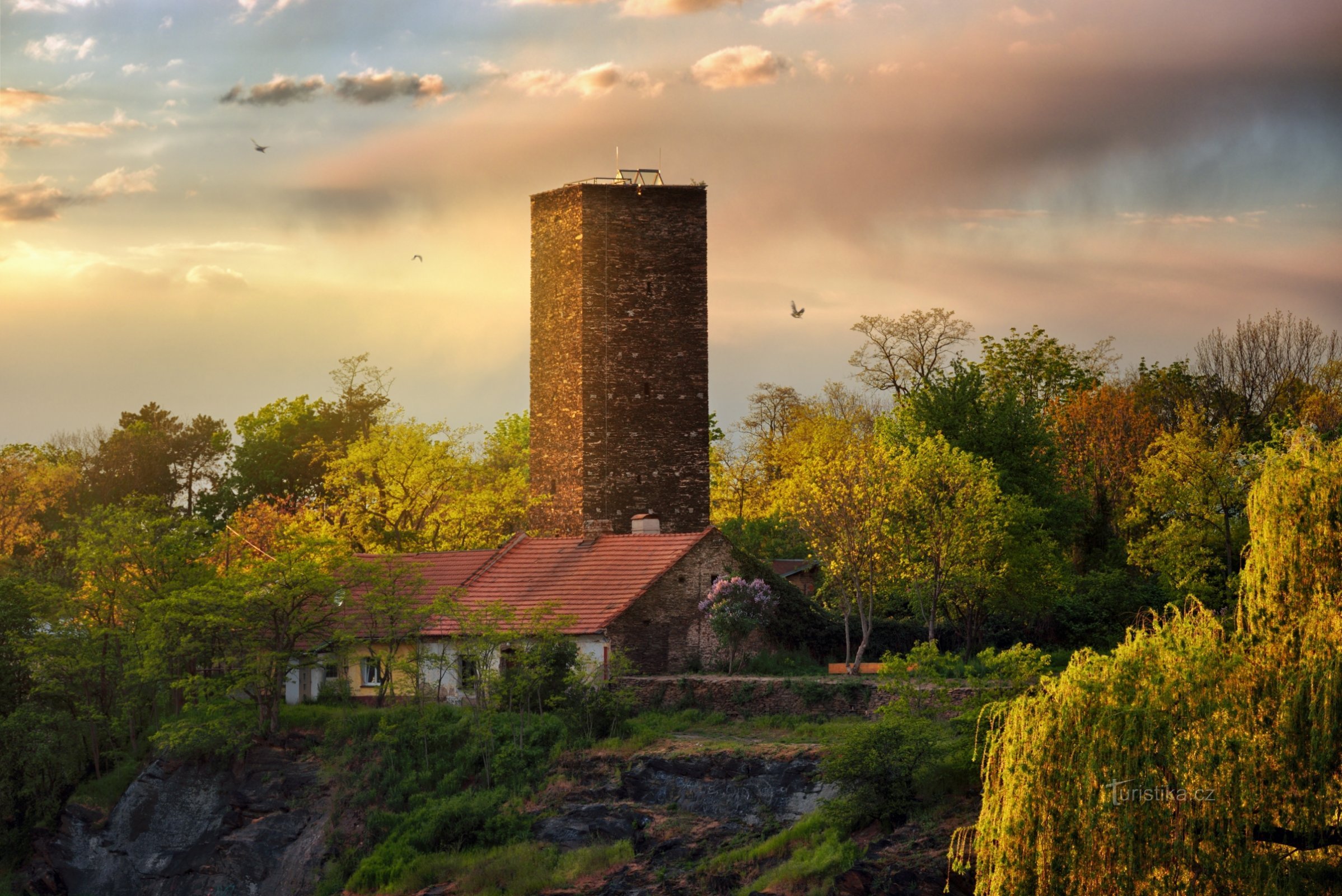 Фото Ладіслава Реннера