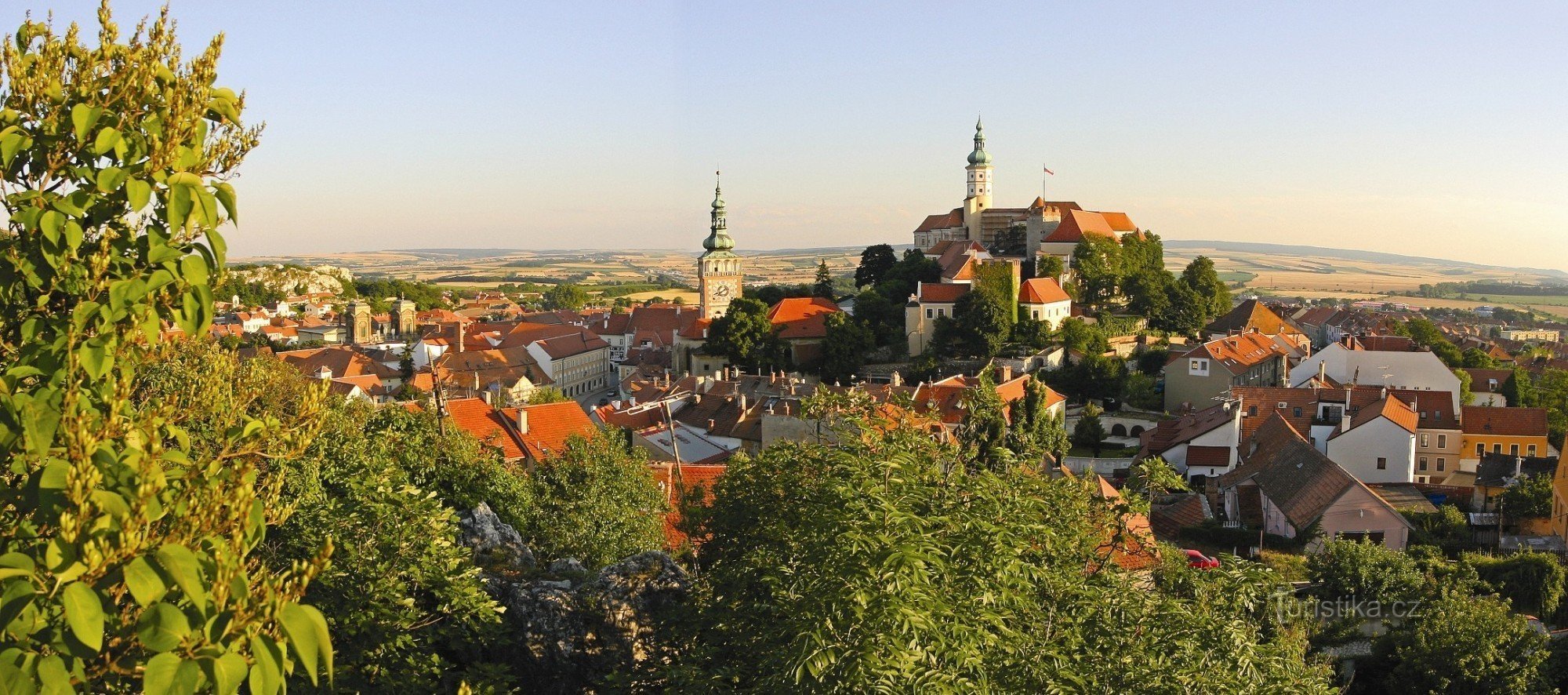 Photo : Mikulov ; archives du fonds du vin