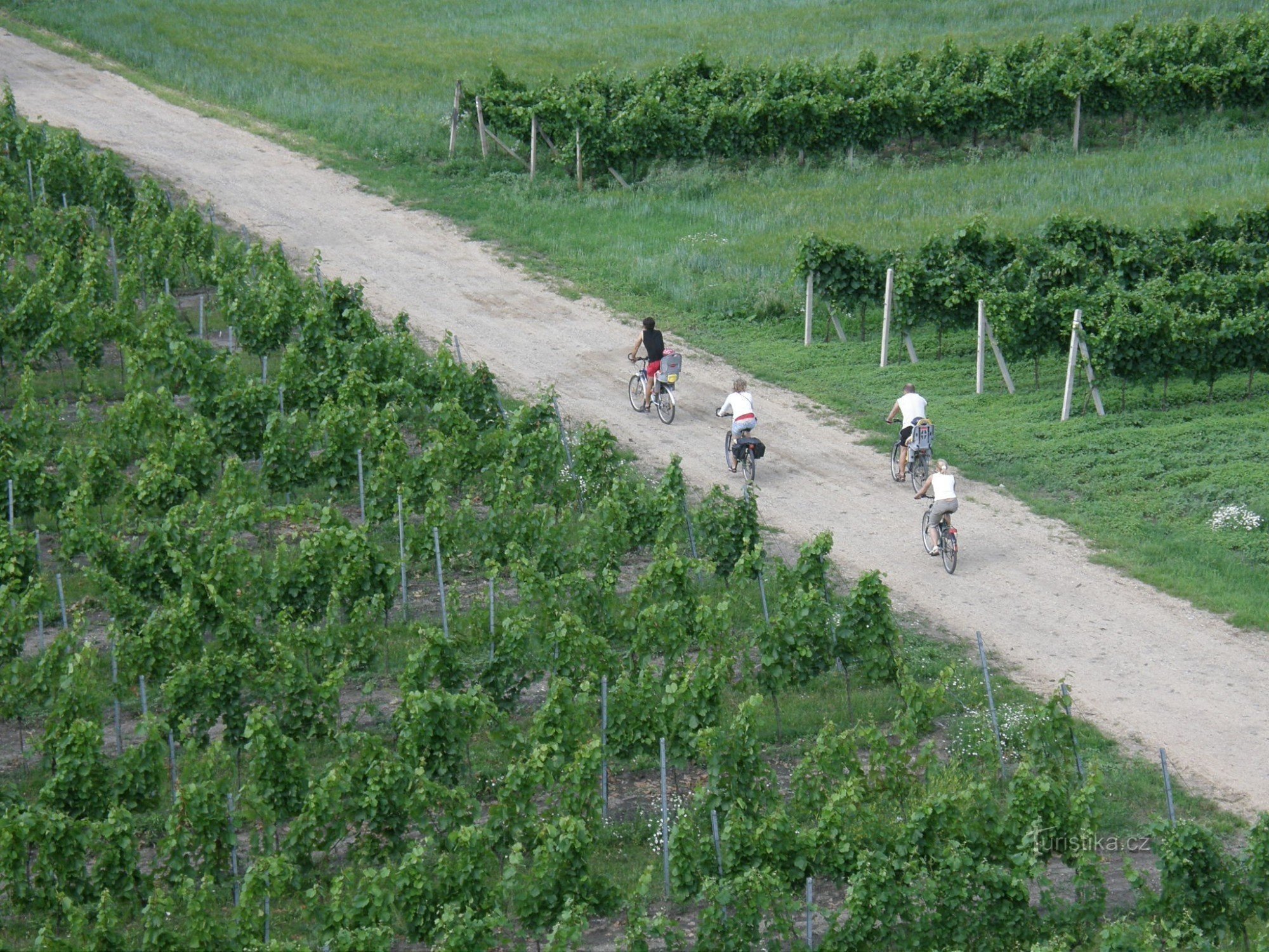 Foto: traseul vinurilor din Moravia; arhiva Fundației Partnership