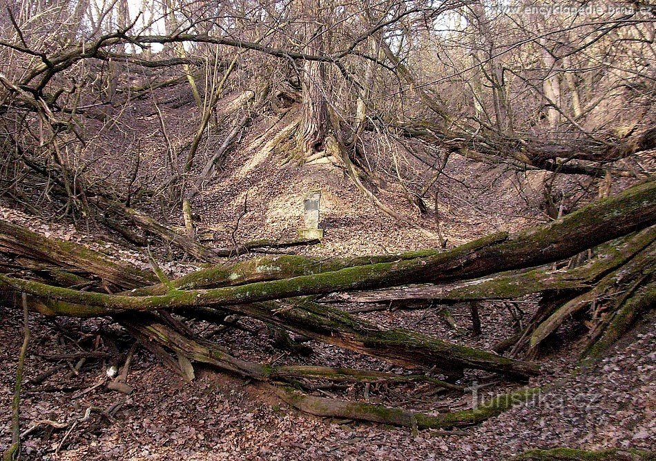 fotografije povzete s spletne strani Enciklopedije mesta Brno.