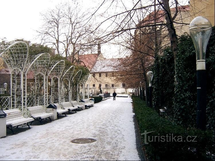 Frančiškanski vrt pozimi