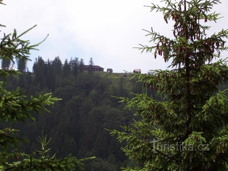 Terreno di caccia di Františka