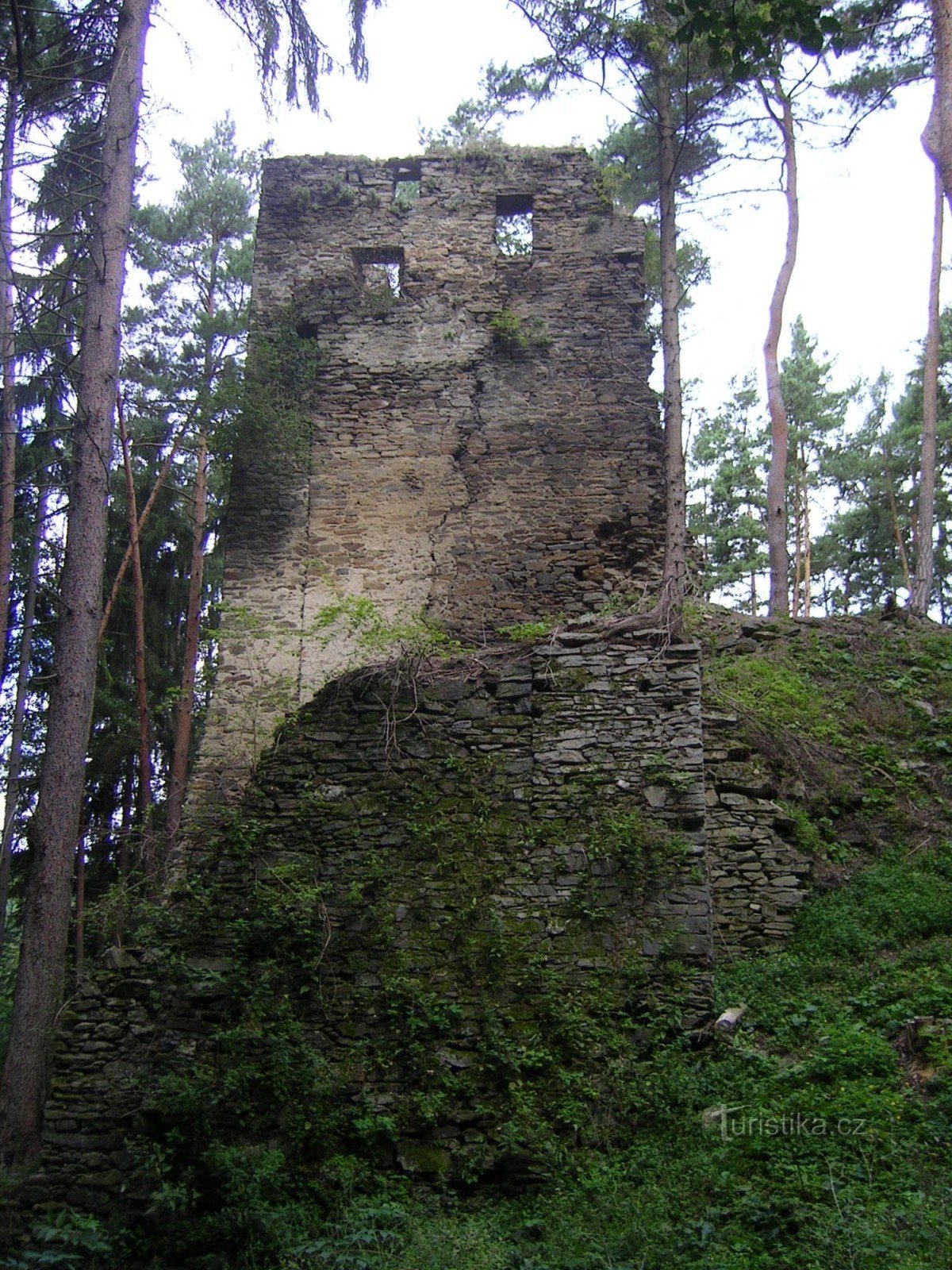 Frejstein