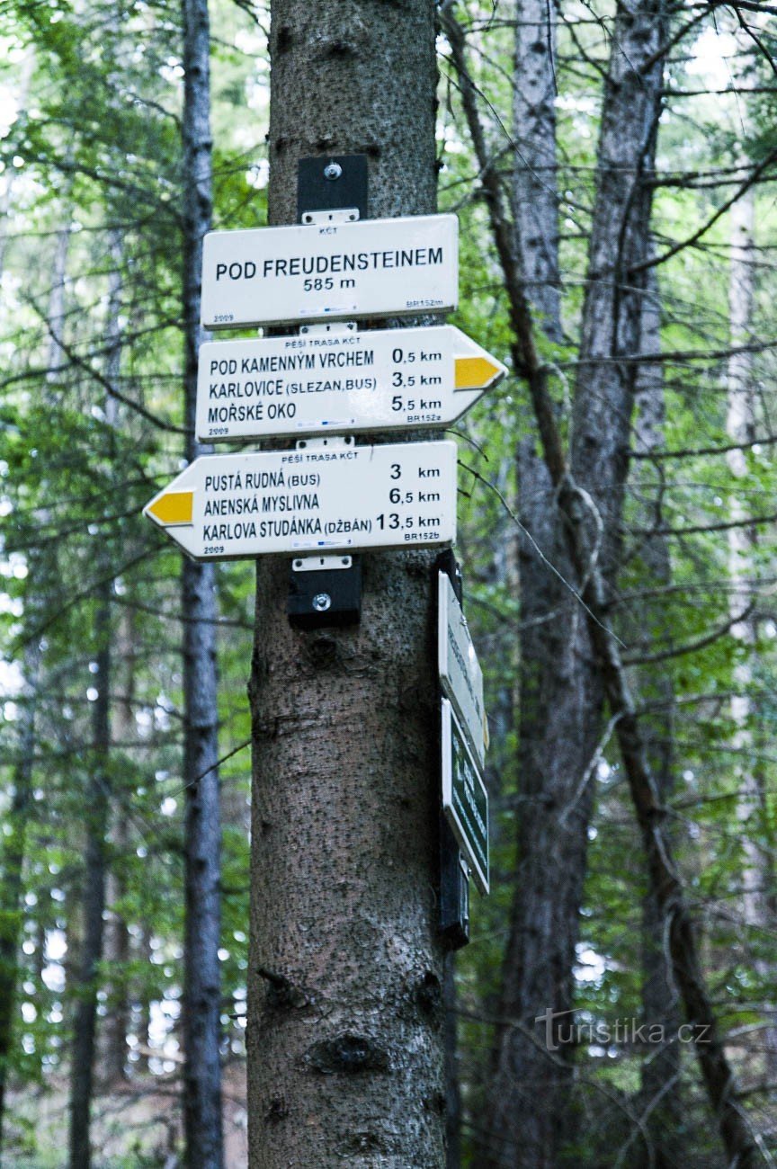 Freudenstein, być może zaginiony Gesenek