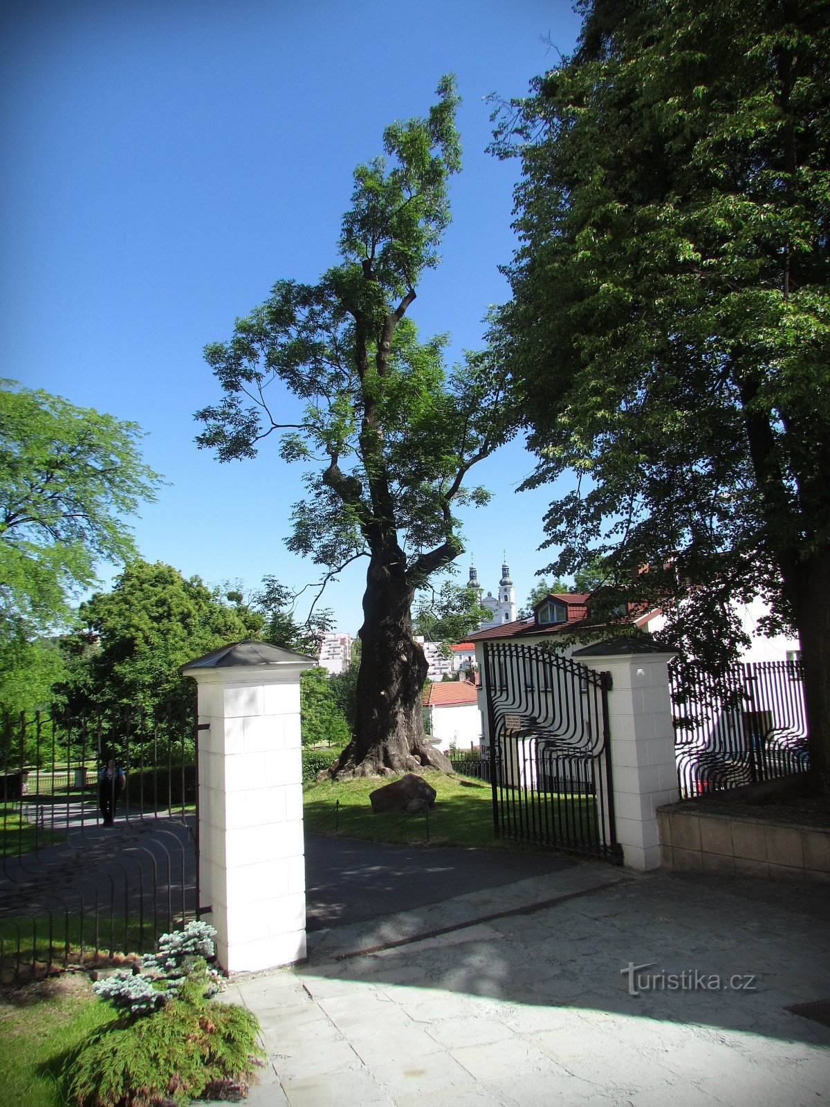 Frýdek - Castle observation park