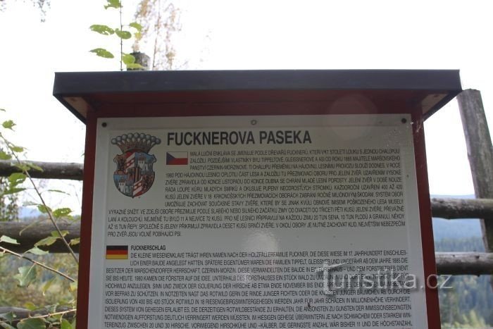 Fucknerjeva pasha