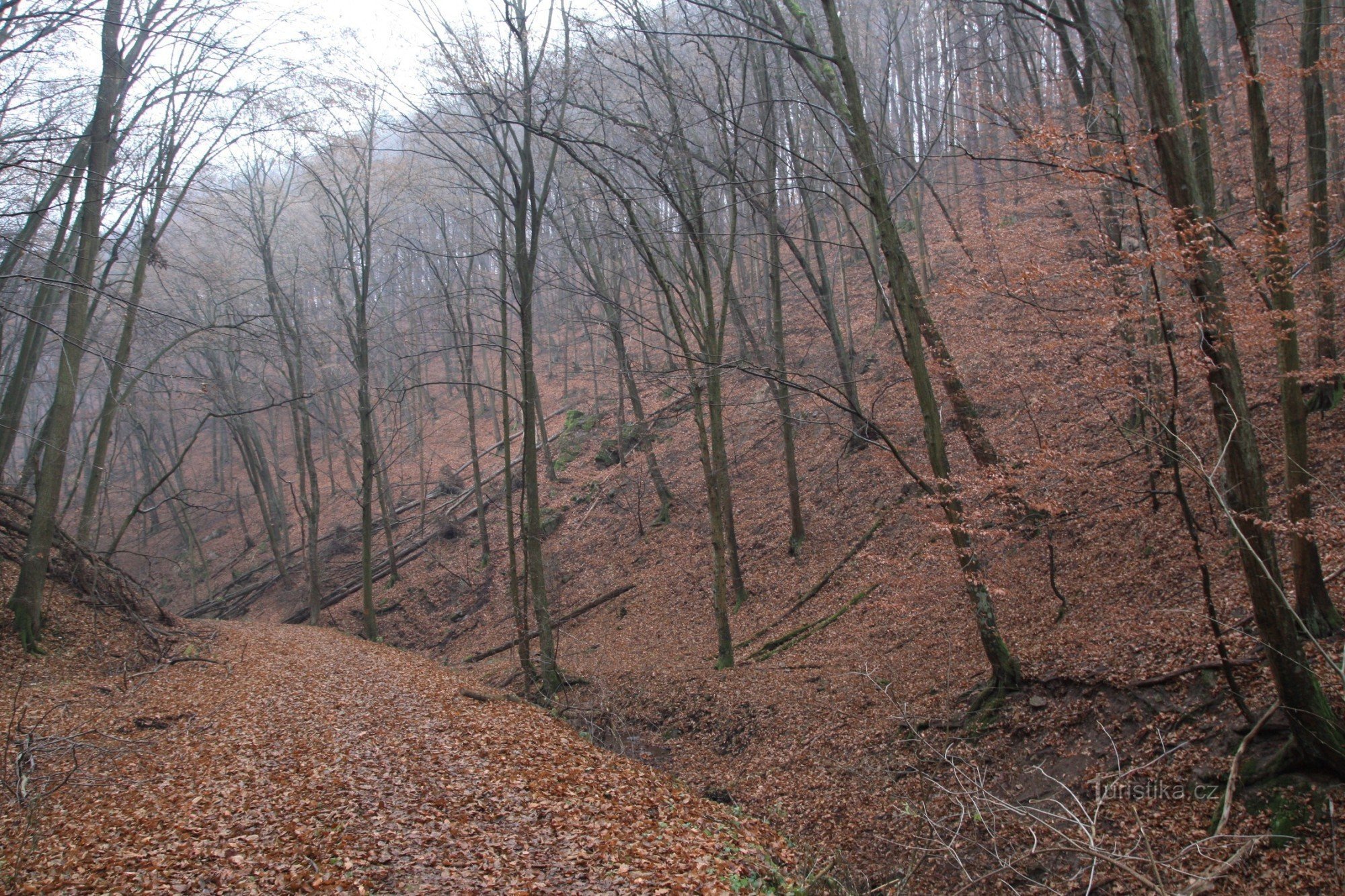 O caminho de Gangloff sob o campo